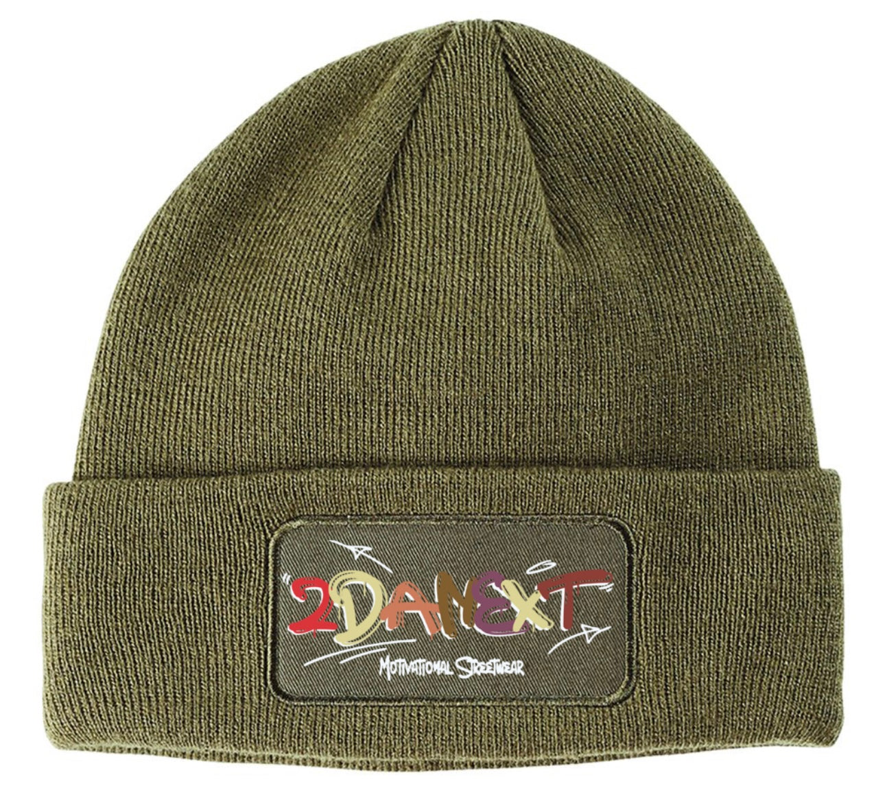 2DaNext Olive Beanie Multi-Color