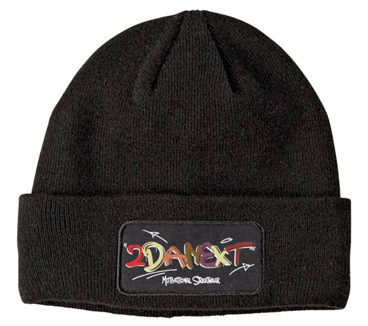 2DaNext Black Beanie Multi-Color