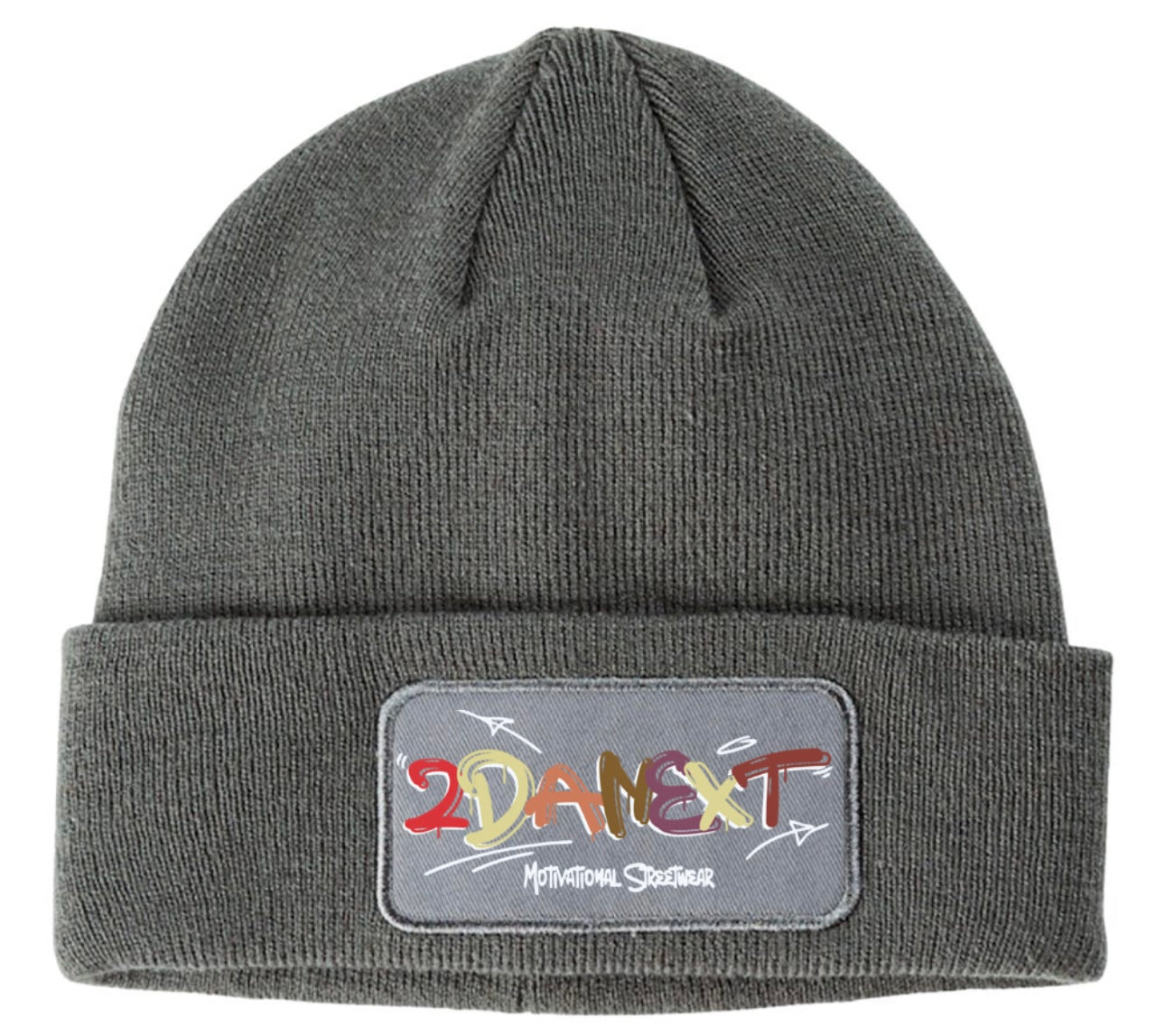 2DaNext Charcoal Beanie Multi-Color