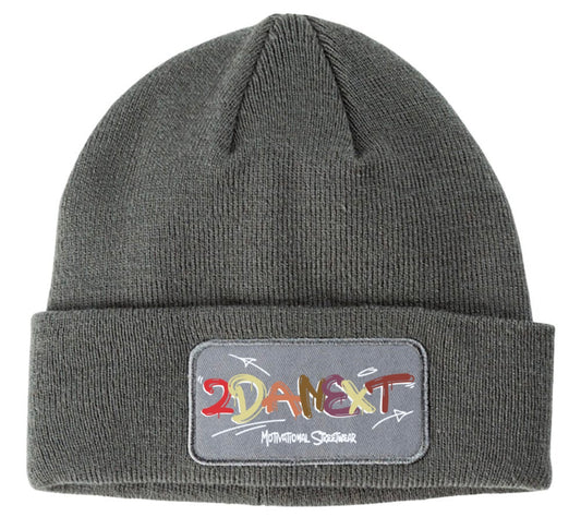 2DaNext Charcoal Beanie Multi-Color